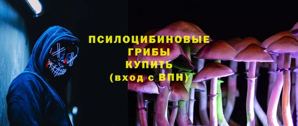 Альфа ПВП Белокуриха