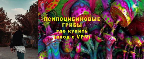 трава Беломорск