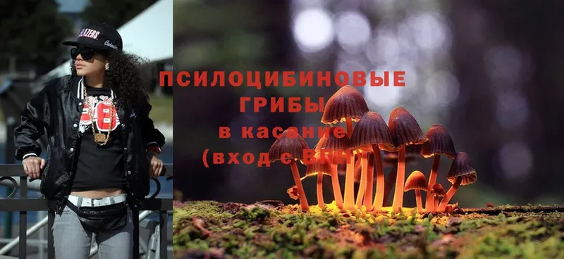 shop какой сайт  Дагестанские Огни  Галлюциногенные грибы Psilocybe 