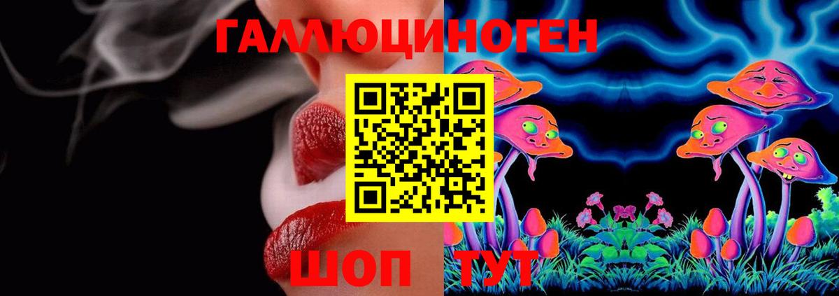 Дагестанские Огни  Псилоцибиновые грибы ЛСД  Вход с VPN 