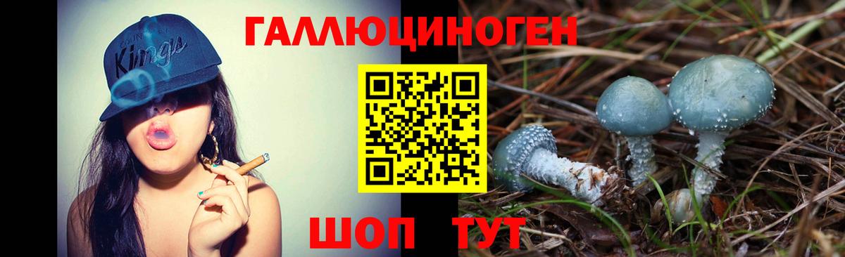 Галлюциногенные грибы Psilocybine cubensis Дагестанские Огни